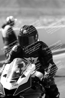 media/Mar-08-2025-TrackXperience (Sat) [[277b597a28]]/1-Around the Pits - Pre Grid/